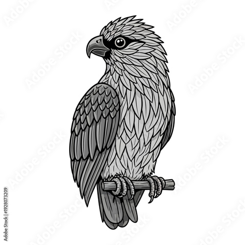 A bird of prey sitting on a branch