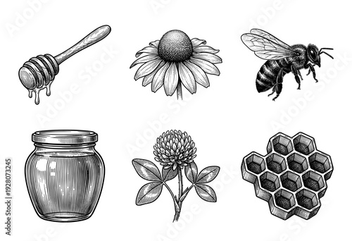 Vintage hand drawn honey and beekeeping set featuring bee, honeycomb, glass jar, dipper, and nectar flowers in woodcut engraving style