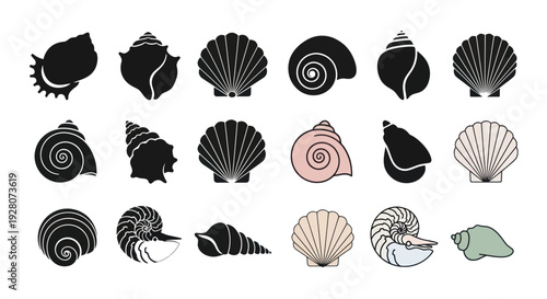 Collection of diverse seashell silhouettes and outlines on white background
