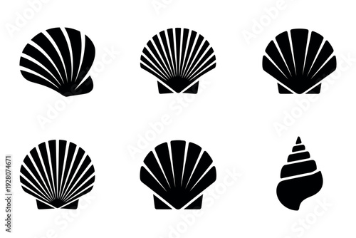 Black and White Seashell Icon Set featuring a variety of minimalist vector silhouettes like scallops, conchs, and nautilus shells, perfect for coastal branding, summer event stationery, and nautical h