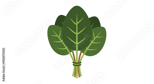 Bunch of Green Leaves.