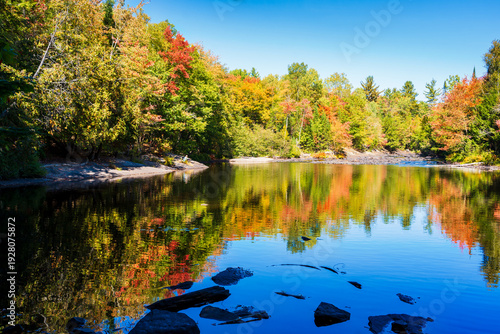 Wanderung im Herbst im Algonquin Provincial Park, Ontario, Kanada, bei sonnigem Wetter im schönen bunten Laubwald mit Rast am See