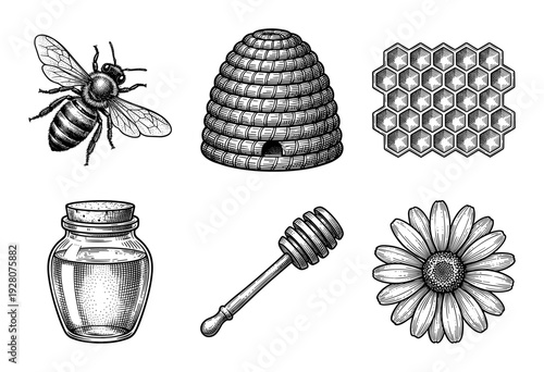 Vintage engraving set of honey production elements including bee, skep hive, honeycomb, jar, dipper, and daisy flower.