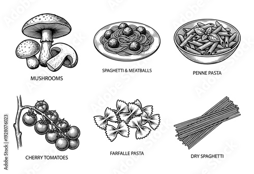Vintage hand drawn engraving set of italian pasta varieties, mushrooms, and cherry tomatoes for culinary design