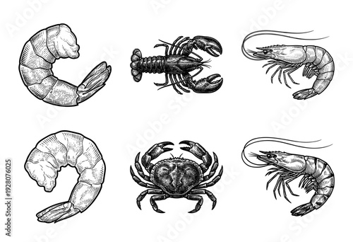 Vintage engraving collection of seafood crustacean illustrations including shrimp, lobster, and crab in detailed woodcut style