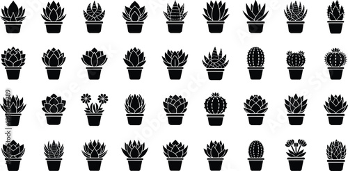 Succulent and cactus plant icon set, potted houseplant silhouette collection isolated on white background vector illustration