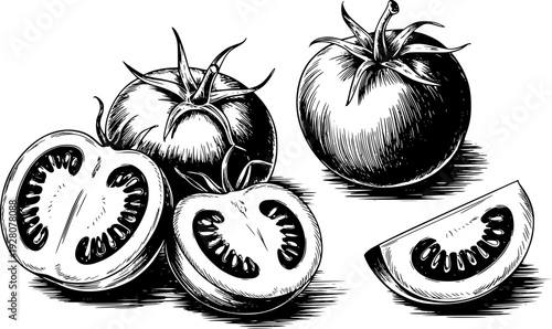 Hand drawn black and white of whole and sliced tomatoes with detailed hatching food