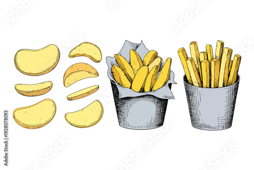 Hand Drawn Potato Slices French Fries and Potato Wedges in Buckets White Background