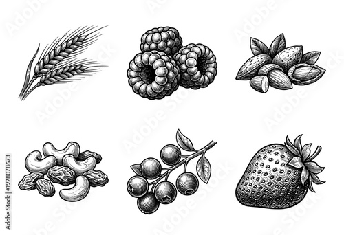 Vintage engraving of assorted healthy foods including berries nuts and cereal grains in a detailed woodcut style illustration set.