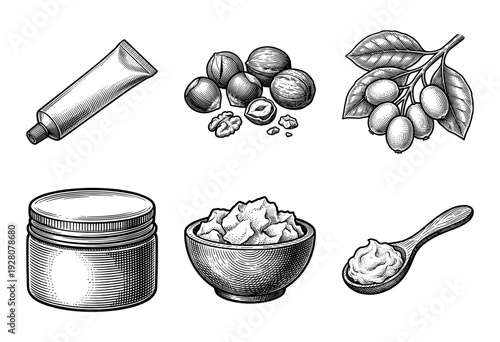 Vintage engraving of shea butter production elements including nuts, branch, cream jar, ointment tube, and wooden bowl