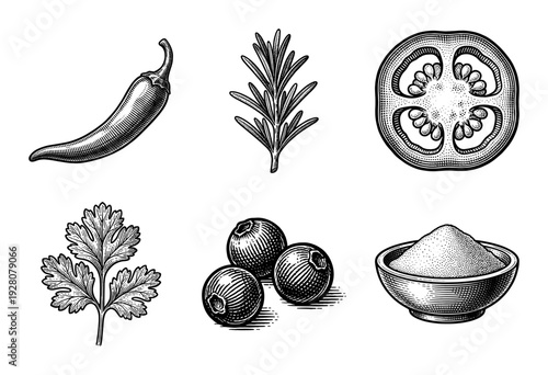 Vintage engraving style collection of culinary herbs and spices featuring chili pepper rosemary tomato slice cilantro peppercorns and salt bowl