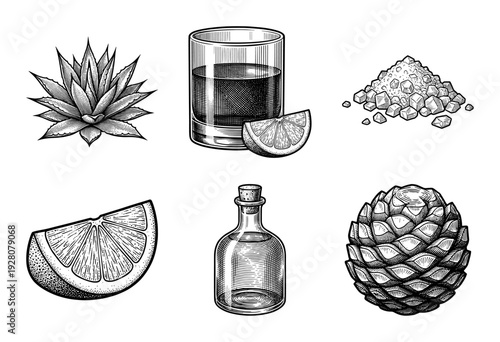 Set of monochrome hand drawn agave plant and tequila production elements including pinas lime slices salt and glassware in a vintage woodcut style.