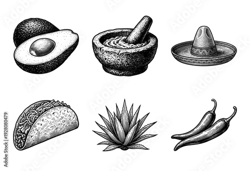 Mexican culture and food collection featuring avocado guacamole taco agave and chili pepper in vintage woodcut engraving style