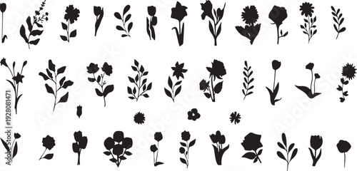 Minimalist black and white floral silhouette collection isolated on white background, Vector, illustration