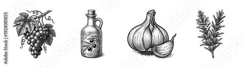 Vintage woodcut style collection of Mediterranean culinary ingredients including grapes olive oil garlic and rosemary sprigs