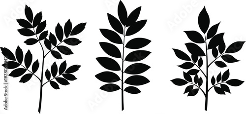 Minimalist icon depicting a vector file for digital design projects