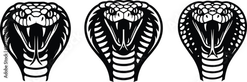 Aggressive King Cobra Snake Head Vector Illustration Set With Open Mouth Fangs and Hood in Black and White Tribal Mascot Silhouette Style