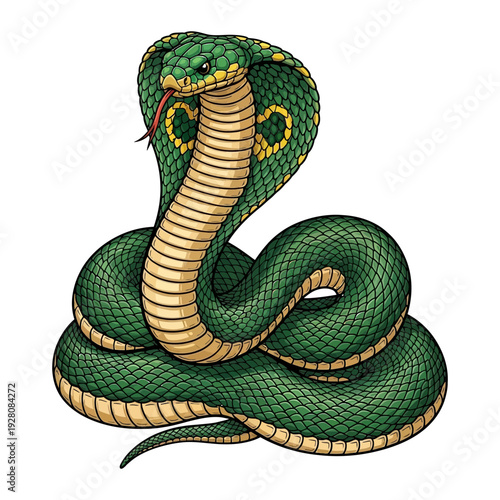 A green snake with a yellow belly and red tongue