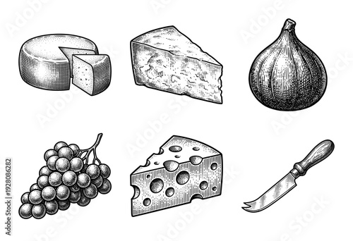Vintage engraving style collection of cheese varieties with grapes fig and a specialized knife for gourmet food illustration