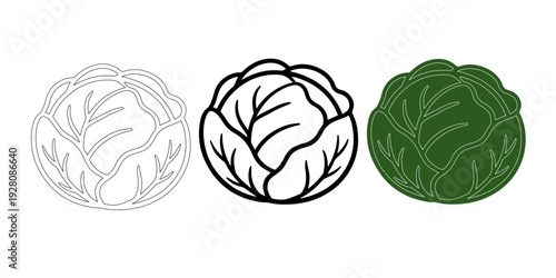 cabbage icon