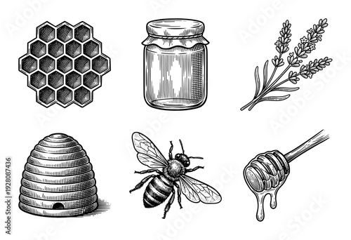 Vintage engraving honey and beekeeping set featuring honeycomb, honey jar, lavender, beehive, bee, and honey dipper.