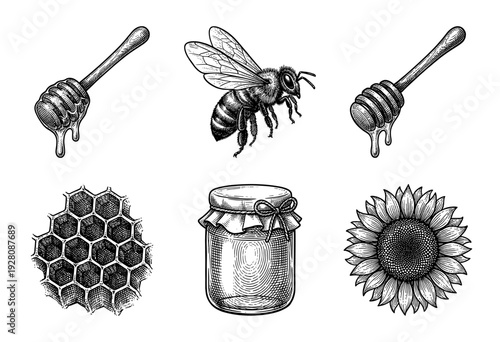 Vintage engraving honey production set featuring honeybee, honeycomb, sunflower, glass jar, and wooden dippers in a hand drawn etching style.