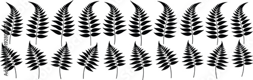 Seamless black fern leaves pattern on transparent background, decorative natural plant elements