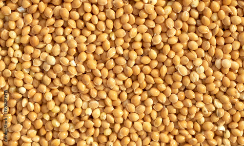 Heap of millet groats on white background