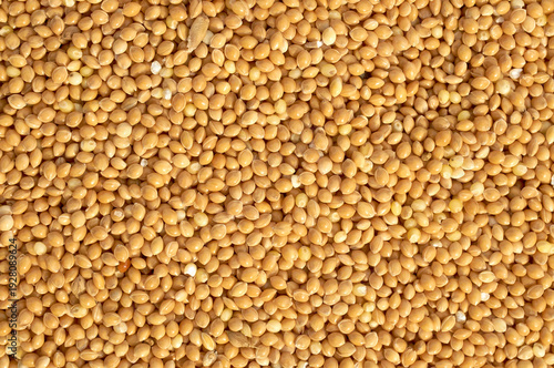 food background - top view of unhulled proso millet grains