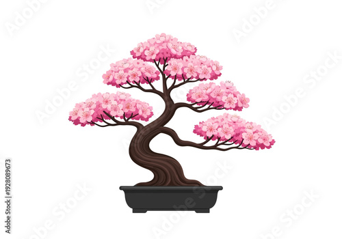 A flowering pink cherry blossom bonsai tree in a dark rectangular pot