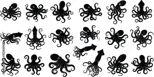 Octopus and squid silhouettes set, various marine animal poses, underwater sea creatures, aquatic life vector collection, cephalopod icons, ocean, nature.