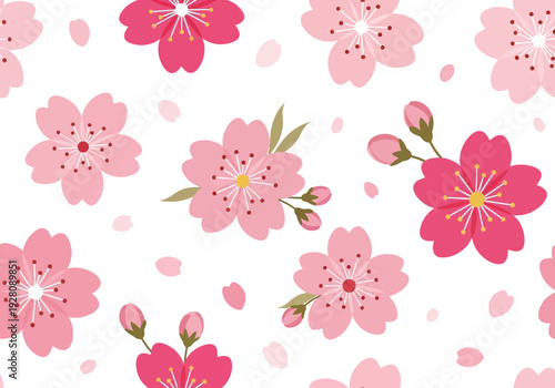 Seamless pattern of pink and dark pink cherry blossoms with falling petals on white