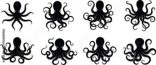 Octopus silhouette set with various tentacle poses, black cephalopod icons isolated on white background, marine life vector illustration, sea creatures