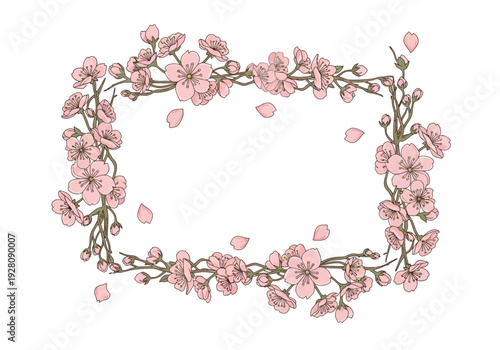 Pink cherry blossom floral frame with falling petals on white background