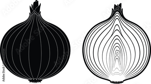 Onion silhouette vector, whole onion illustration, cross-section vegetable design, layered structure art, culinary ingredient icon, kitchen food graphic, agriculture symbol
