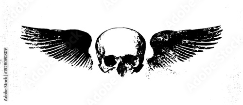 Skull with wings high contrast black and white ink illustration for tattoo design or poster