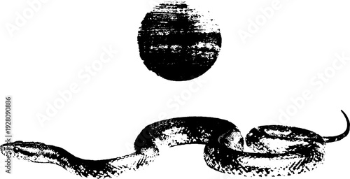 Serpent and celestial sun high contrast ink art for vintage design
