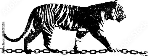 Tiger silhouette with anchor chain in black and white ink art - retro design for decoration