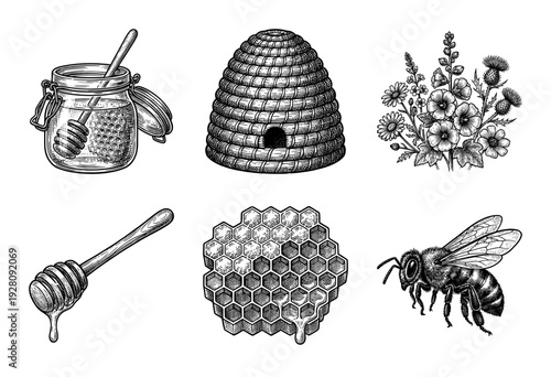 Vintage engraving style honey production and beekeeping collection featuring bees, honeycomb, skep beehive, and floral botanical elements.