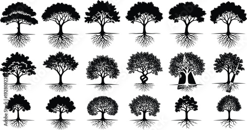 Set of Tree Silhouettes with Detailed Roots Isolated on White Background, Black Forest and Woodland Vector Collection for Nature Design and Botanical Illustration