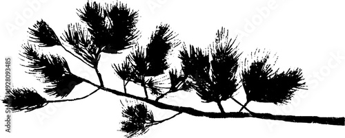 High contrast pine branch ink drawing in black and white for art and design