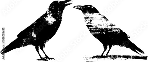 Mysterious raven reflections in black and white ink sketch