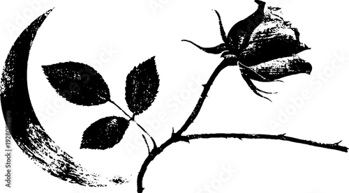 High contrast black and white ink illustration of rose and crescent moon