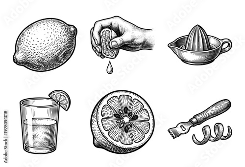 Vintage engraving style lemon collection featuring whole fruit, sliced citrus, hand squeezing juice, manual juicer, zester tool, and glass drink