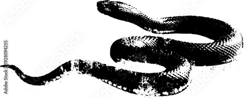 Serpent and infinity symbol in high contrast black and white ink illustration