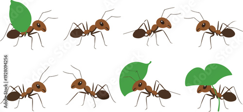Vector Collection of Ants Carrying Leaves Illustrating Worker Insects Nature and Colony Behavior Isolated on White Background