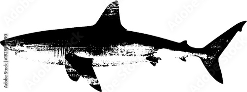 High contrast shark silhouette in black and white ink for nautical decor