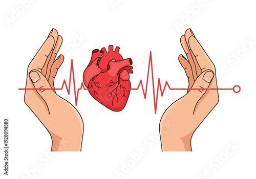 Two hands cradling a heart over a red heartbeat line