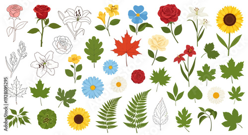 Various flowers and leaves are illustrated on white