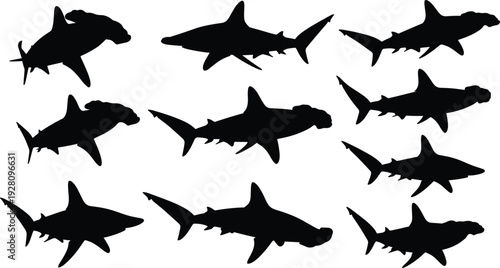 Shark silhouettes vector illustration, marine life, ocean predators, underwater wildlife, sea creatures, aquatic nature, fish species, biodiversity, education, environment